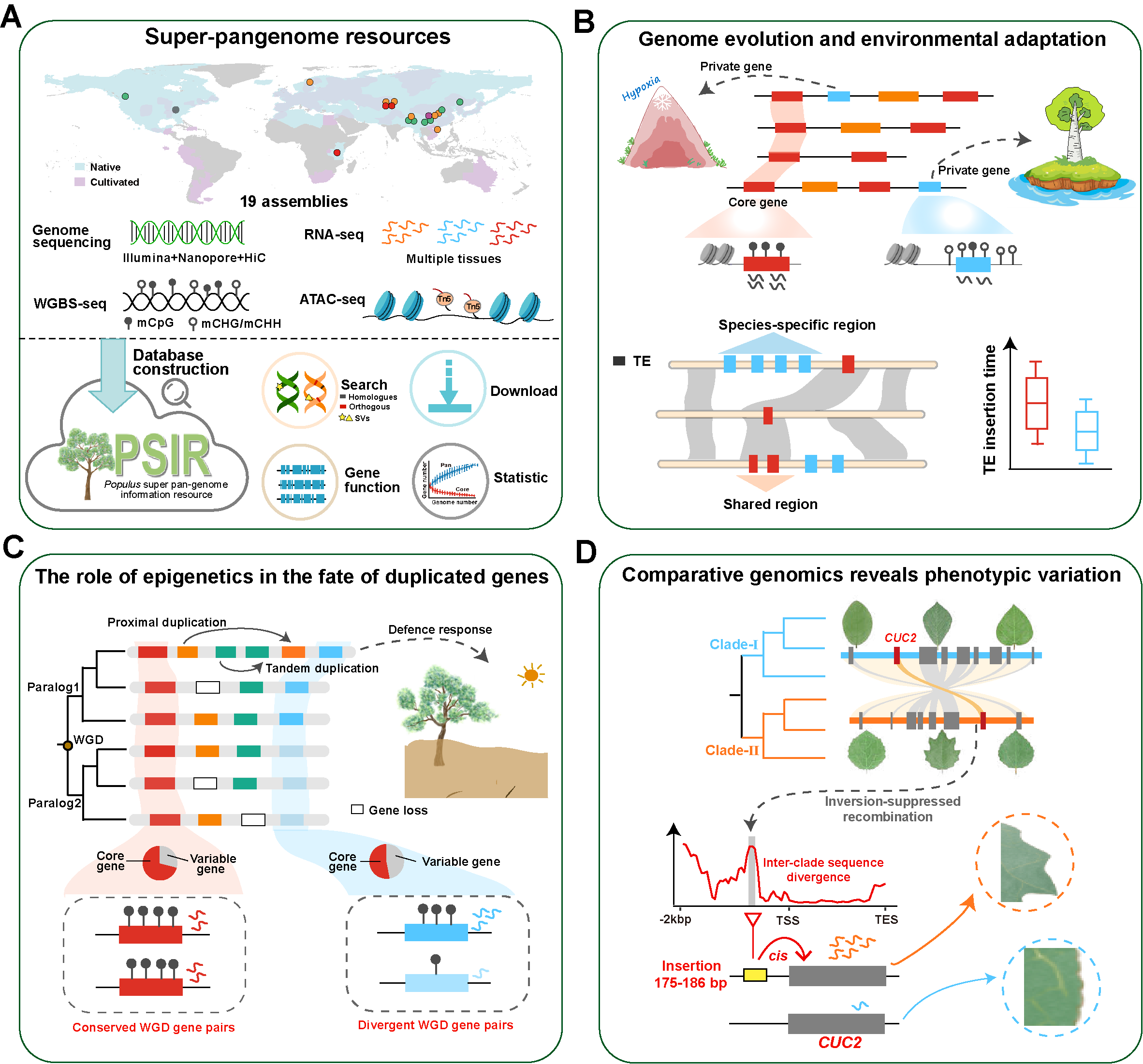 RESEARCH – Jing Wang's Lab